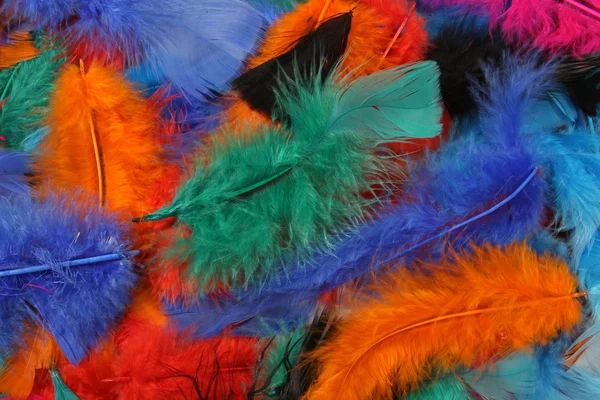 stock image Bright colored feathers background