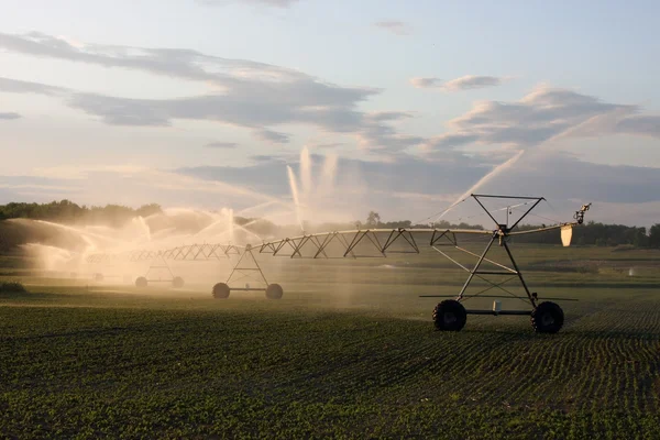 Irrigação das culturas — Fotografia de Stock
