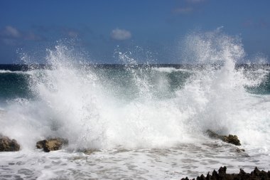 vahşi deniz manzarası