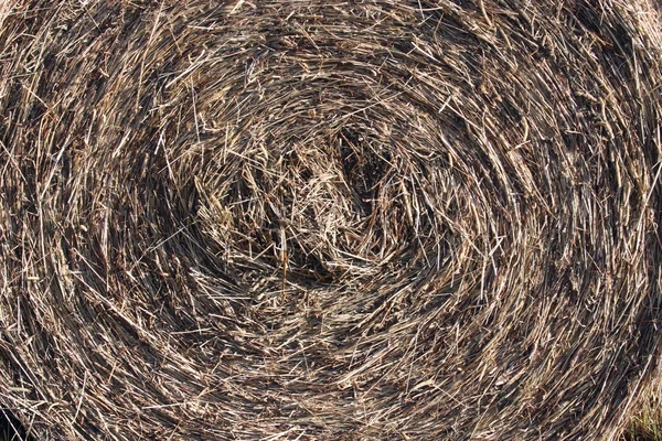 stock image Round hay bale background