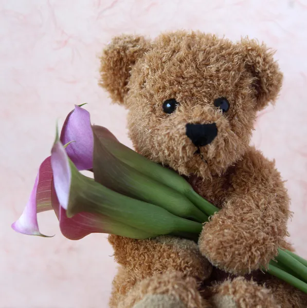 stock image Teddy bear with calla lilies