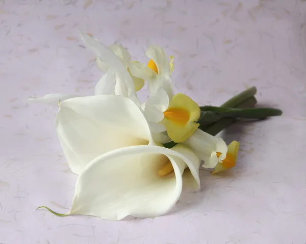 Calla lilies with iris — Stock Photo, Image