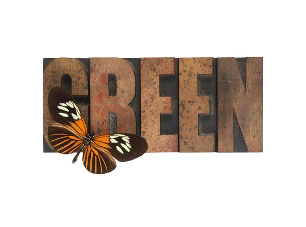 Mariposa sobre palabra verde — Foto de Stock