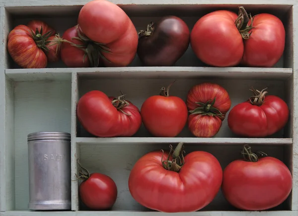 Tomates de relíquia com saleiro — Fotografia de Stock