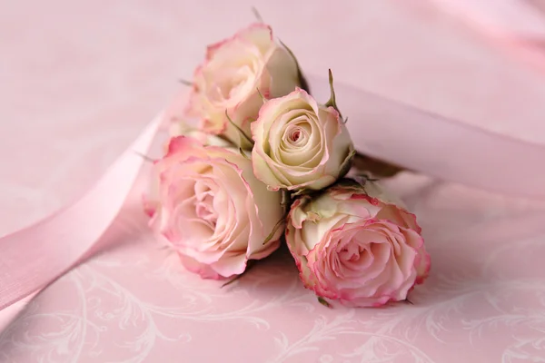 Halvány rózsaszín rózsa — Stock Fotó