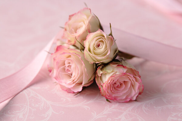 Four miniature pink roses on a pink background with a ribbon