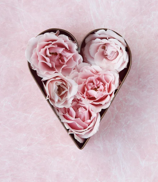 Pink roses in a cookie cutter — Stock Photo, Image