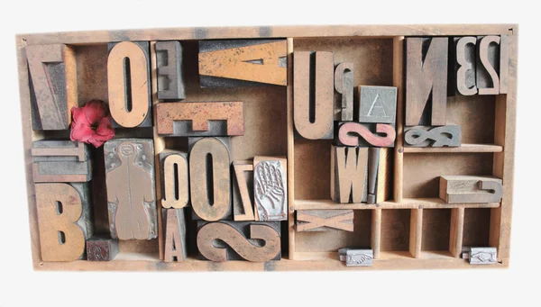 Type grouping in a case — Stock Photo, Image