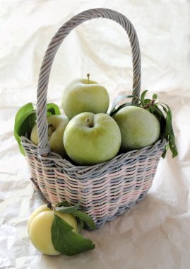 Fresh green plums in a pastel basket clipart