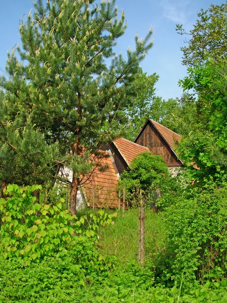 Cabaña en madera — Foto de Stock
