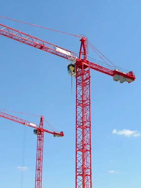 Two red crane — Stock Photo, Image