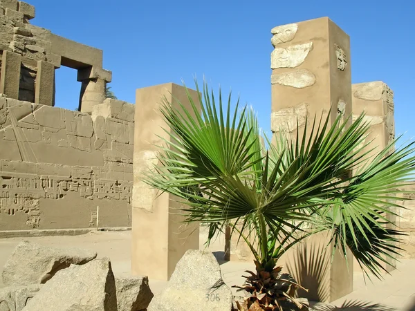 Karnak - antico tempio di Luxor — Foto Stock