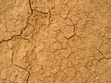 Drought clipart