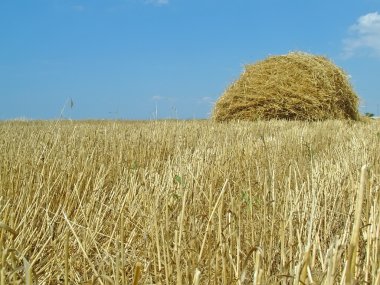 Yellow haystack clipart