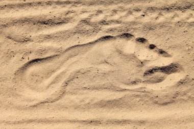 Fresh footprints clipart