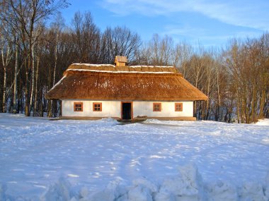 Vintage kırsal hut