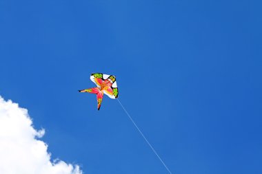 Kite clipart