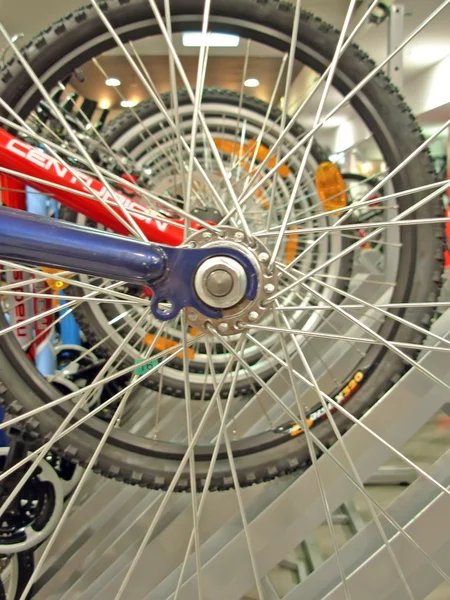 Fahrradrad — Stockfoto
