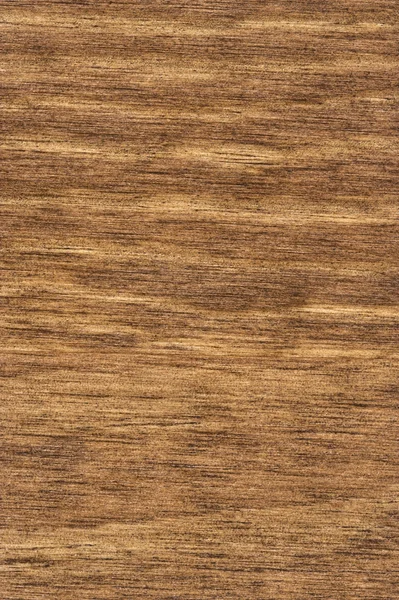 Grano de madera 3 — Foto de Stock