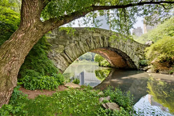Puente en Central Park — Foto de Stock