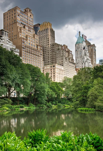 Central park och new york city — Stockfoto