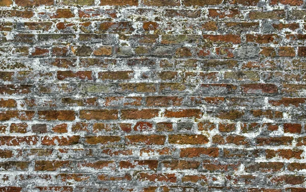 Brick Background — Stock Photo, Image
