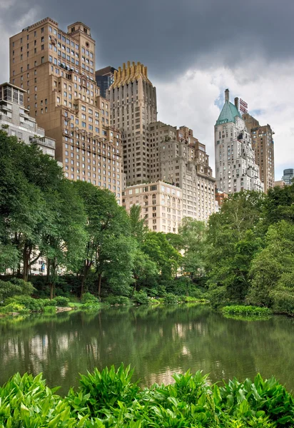 Central park och new york city Stockbild