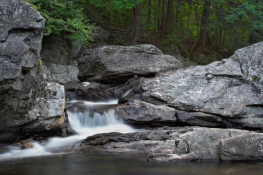 Waterfall and forest clipart