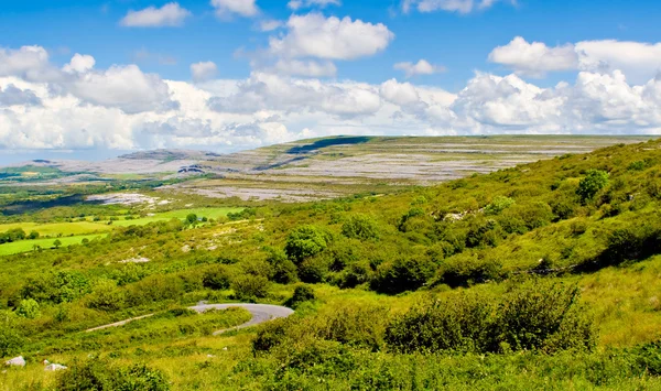Krajobraz Irlandii — Zdjęcie stockowe
