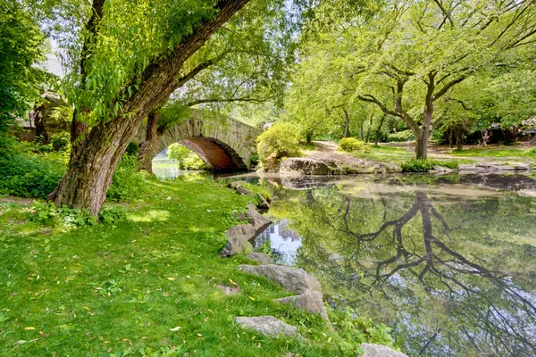公园里的一座桥 — 图库照片