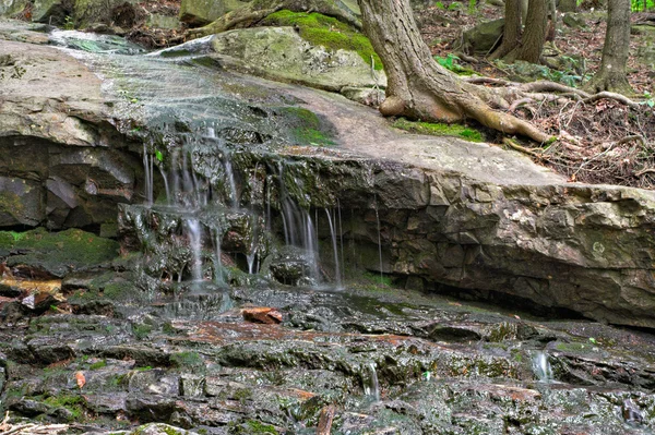 Vatten på stenar i skogen — Stockfoto