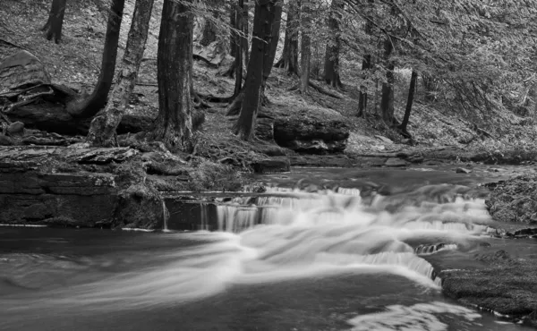 Little Falls in Black and White — Stock Photo, Image