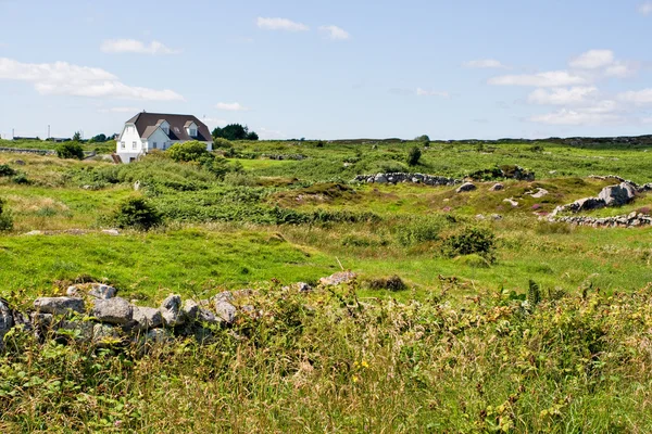 Hus i grönt fält — Stockfoto