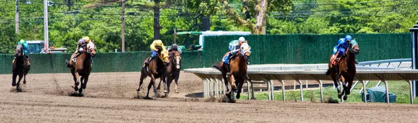 Corrida de cavalos Panorama — Fotografia de Stock