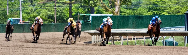 Panorama des courses hippiques — Photo