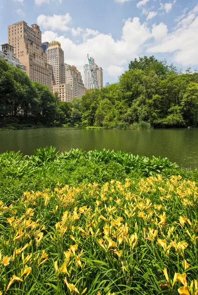 Central Park und New York City — Stockfoto