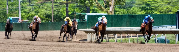 Hästkapplöpning panorama Stockbild