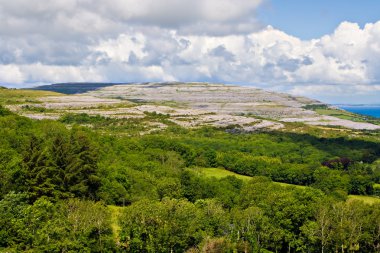 Ireland Landscape of The Burren clipart