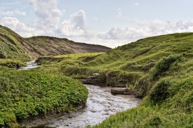 Stream in Ireland clipart