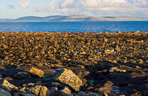 Galway bay ve burren — Stok fotoğraf