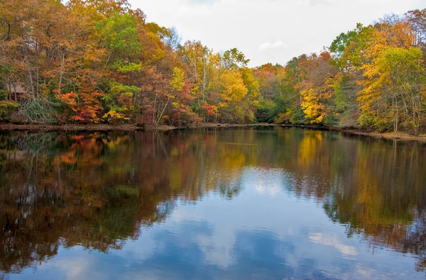 Jezero a stromy na podzim — Stock fotografie