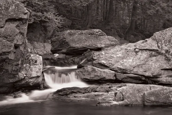 滝と B&W の森 — ストック写真