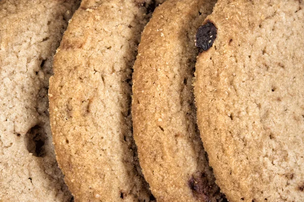 Fila de chocolate chip cookies —  Fotos de Stock