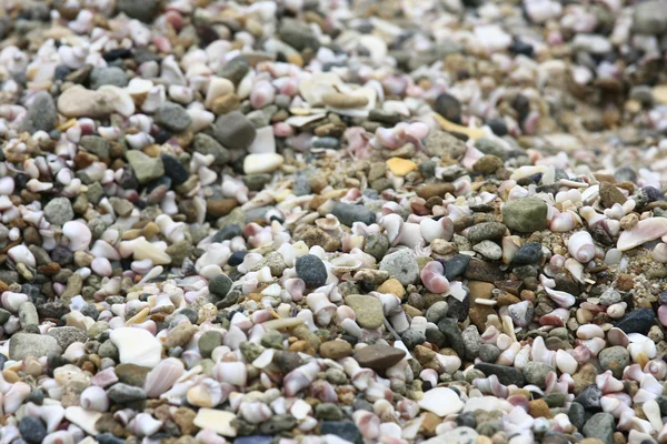 stock image Beach Pebbles