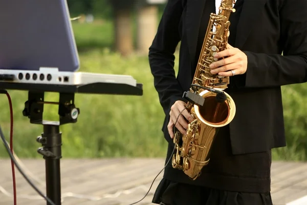 stock image Flute concert at the park