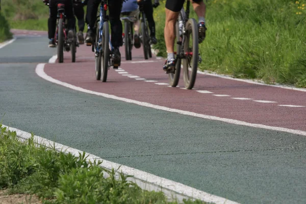 stock image Bicycle lane