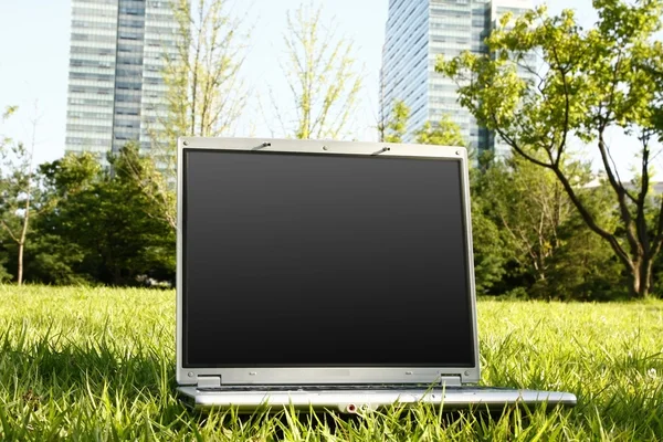 Laptop na grama — Fotografia de Stock