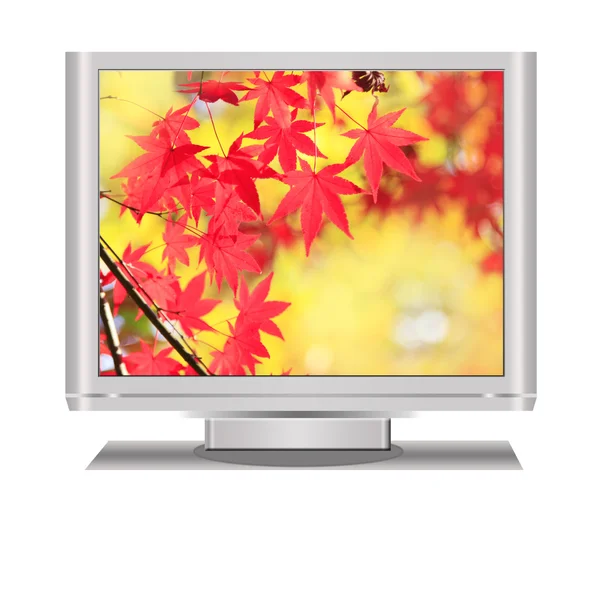 LCD-телевизор с осенним дисплеем — стоковое фото