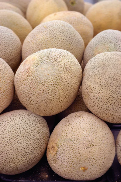 Meloun melounu Stock Fotografie
