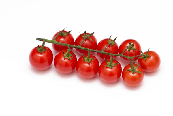 Rama un tomate sobre un fondo blanco . —  Fotos de Stock